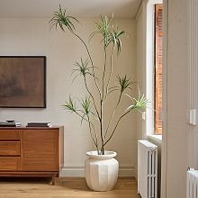 Copenhagen II Echasse Vase Large